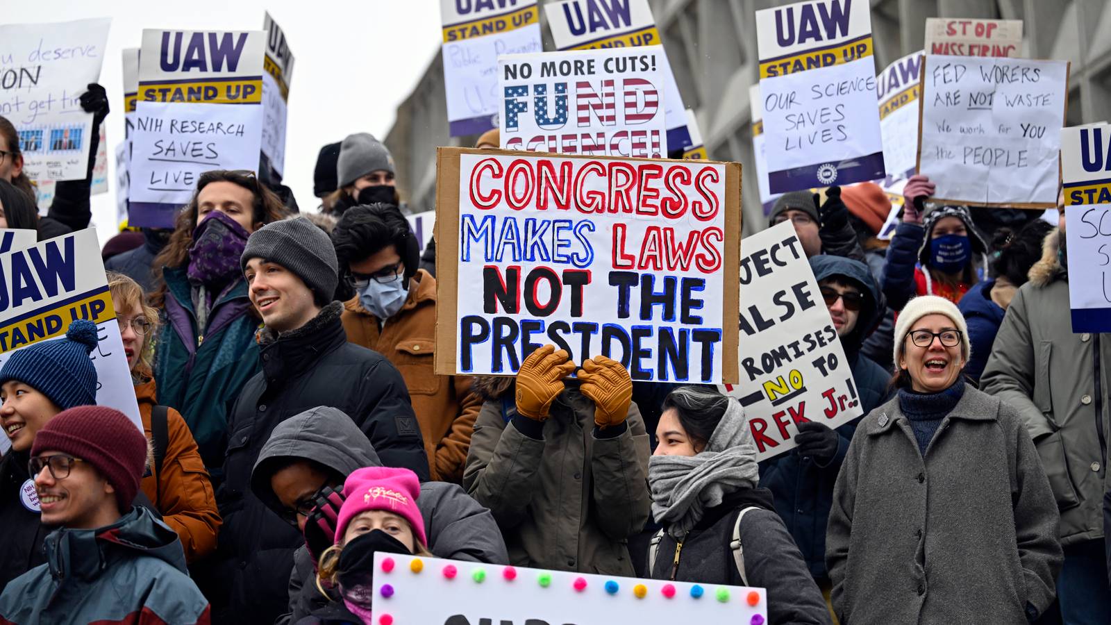 Picture from US protest. A protester is holding a sign saying "Congress makes laws, not the president".