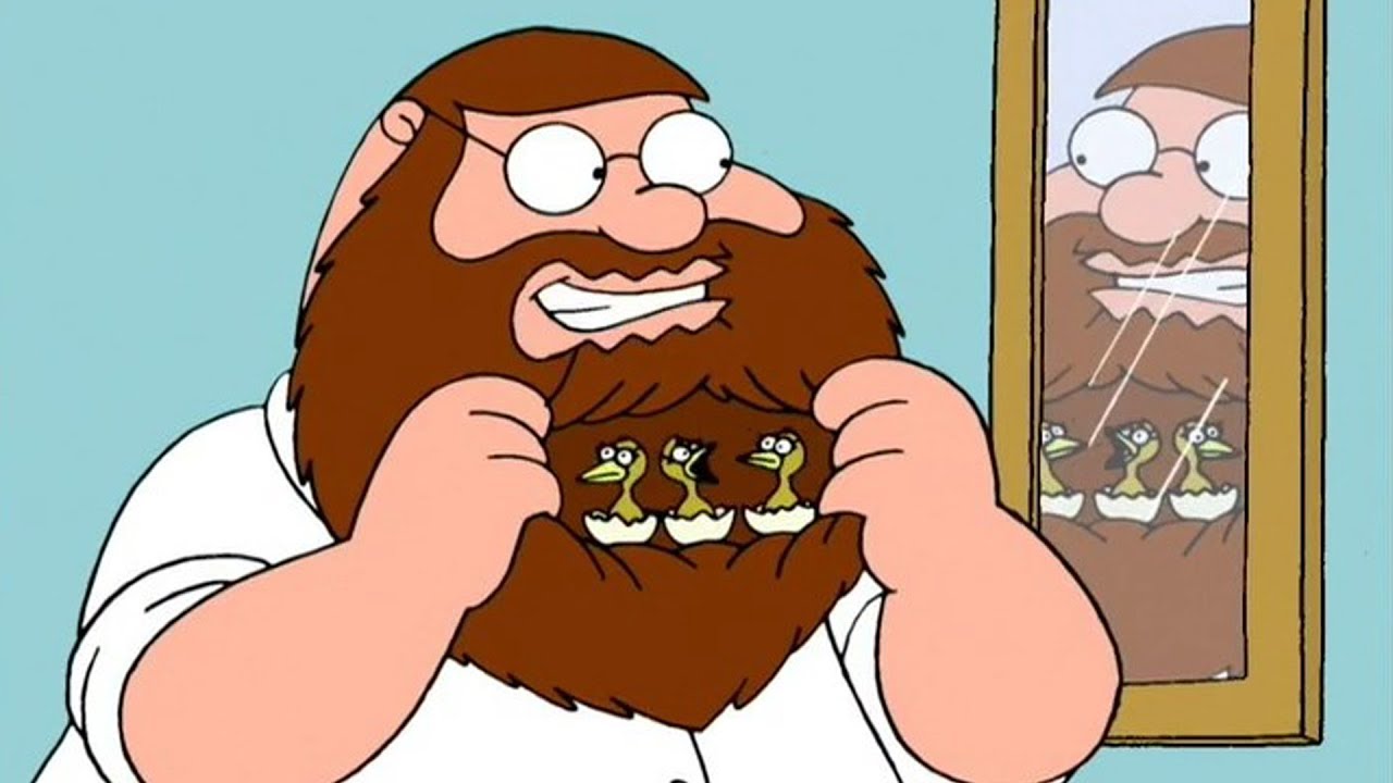 Peter Griffin with birds in his beard
