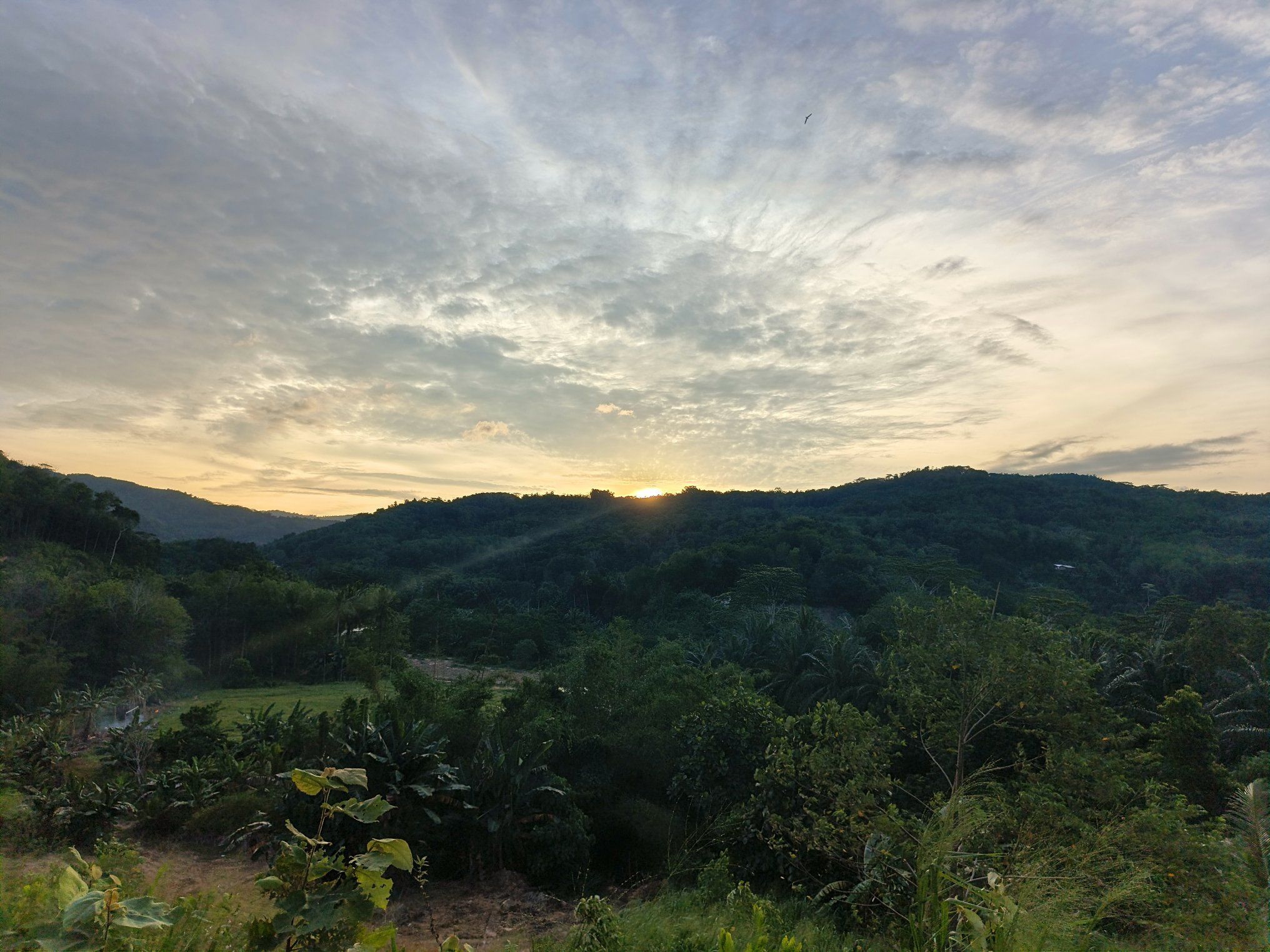 My sunset picture