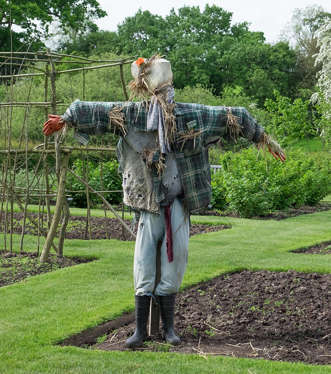 A picture of a scarecrow