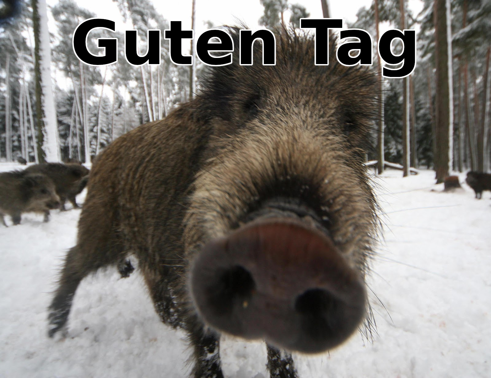 Guten Tag!