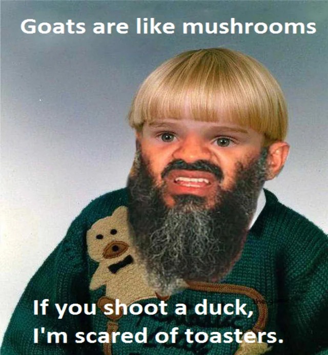 Small child with a badly photoshopped, scraggly beard making an incredulous expression. Text reads, "Goats are like mushrooms. If you shoot a duck, I'm scared of toasters."