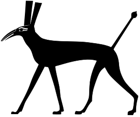 set animal