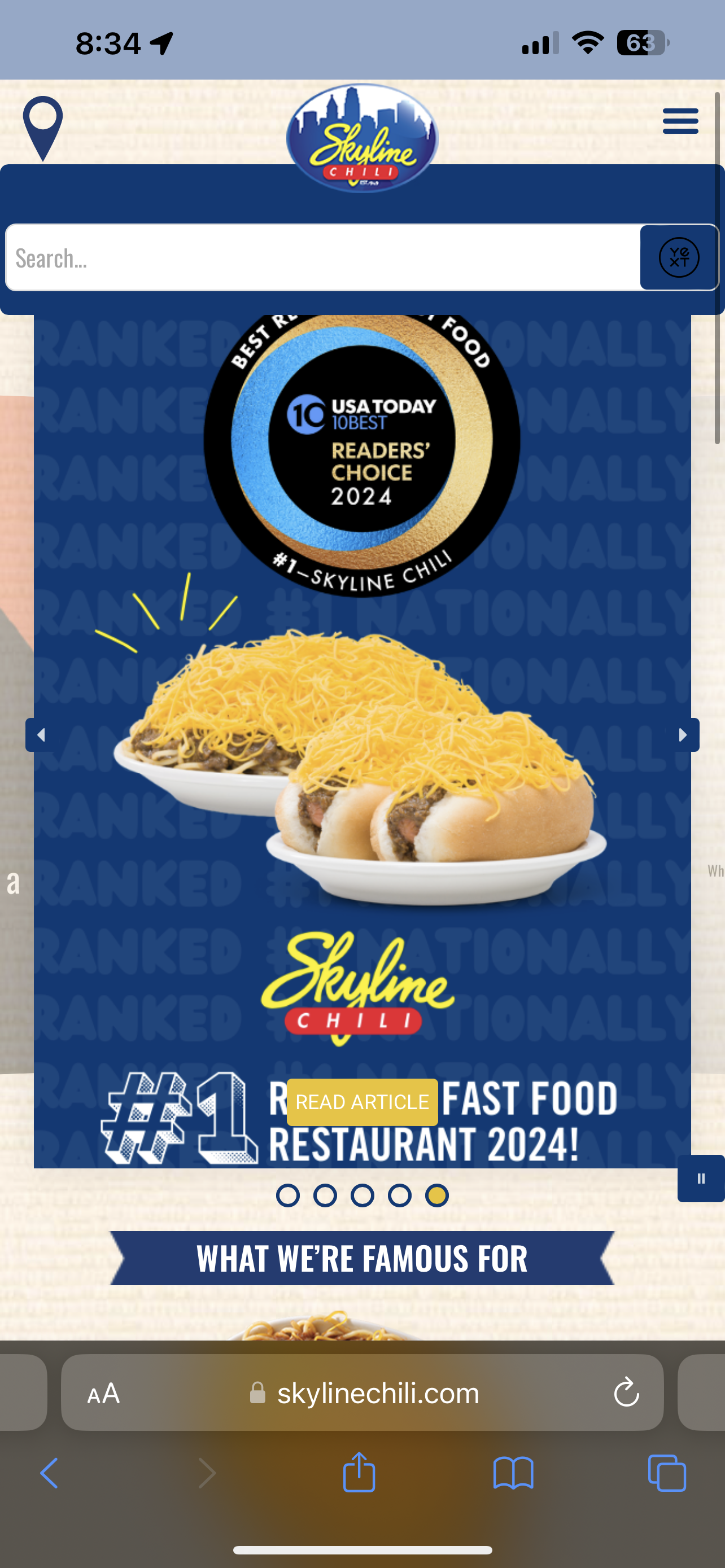 a gross pile of cincinatti chili covered in a mountain of wide shredded, unmelted cheese as sold by Skyline Chili