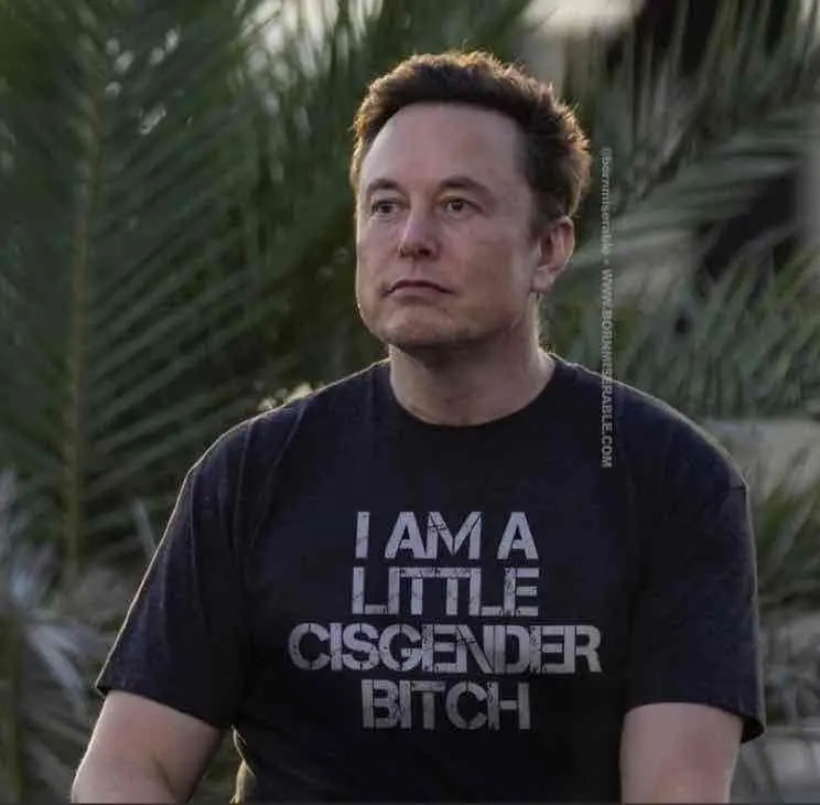 altered photo showing Elon musk in a shirt that says "i am a little cisgender bitch"